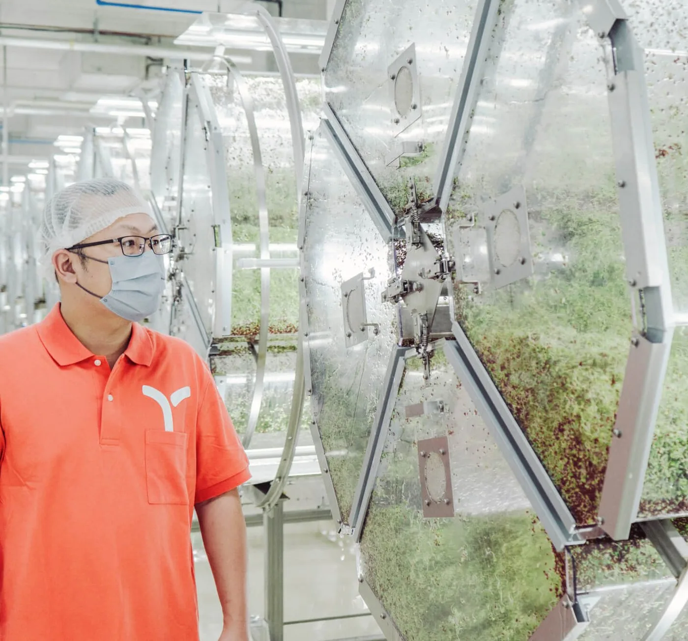 一寸鮮育苗人在發芽專用設備旁