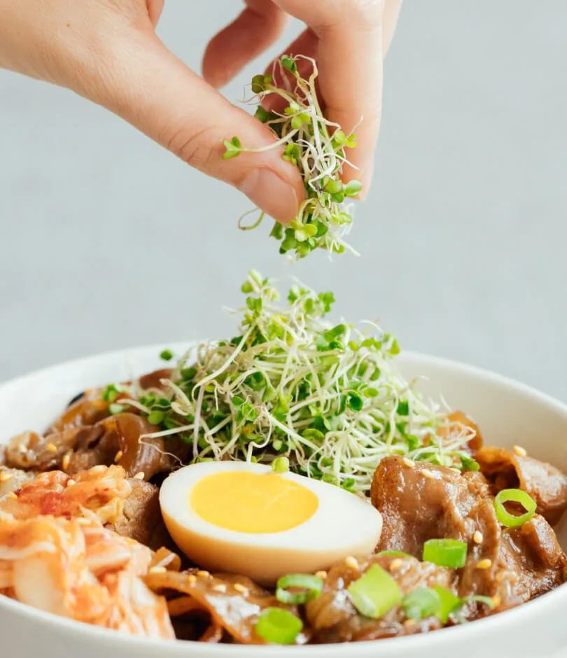 三日苗泡菜燒肉蓋飯