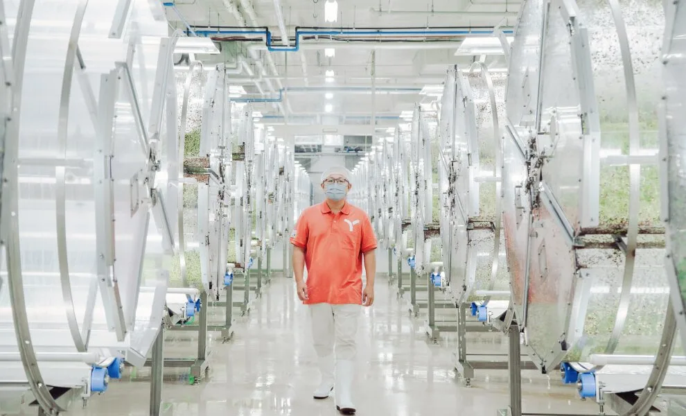 排滿發芽專用設備的生長室