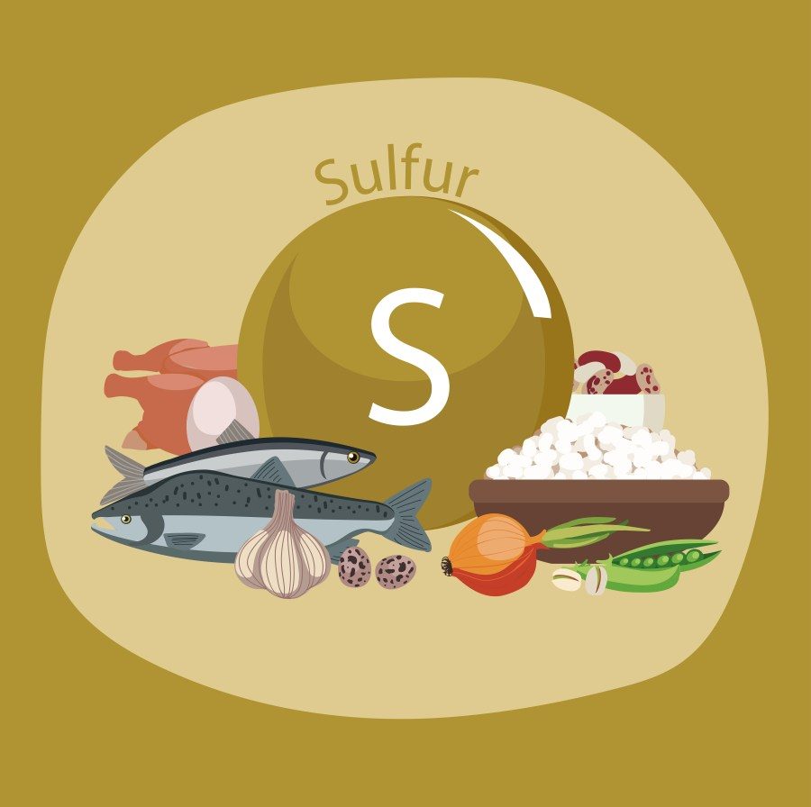 Products,Rich,With,Sulfur.,Bases,Of,Healthy,Food.,Composition,From