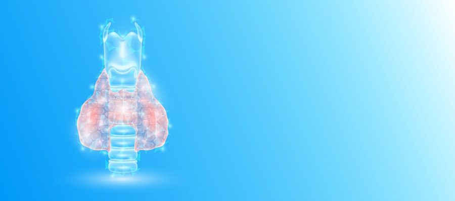 Human,Thyroid,Gland,Anatomy,Form,Line,Triangle,Connecting,On,Blue