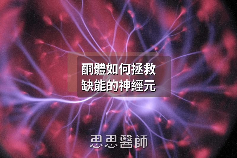 你的大腦有備用電源嗎？酮體如何拯救缺能的神經元（待審查）