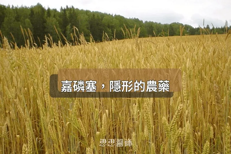 嘉磷塞，隱形的農藥