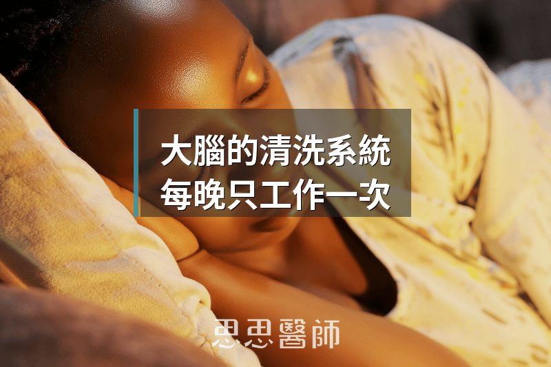 大腦的清洗系統，每晚只工作一次