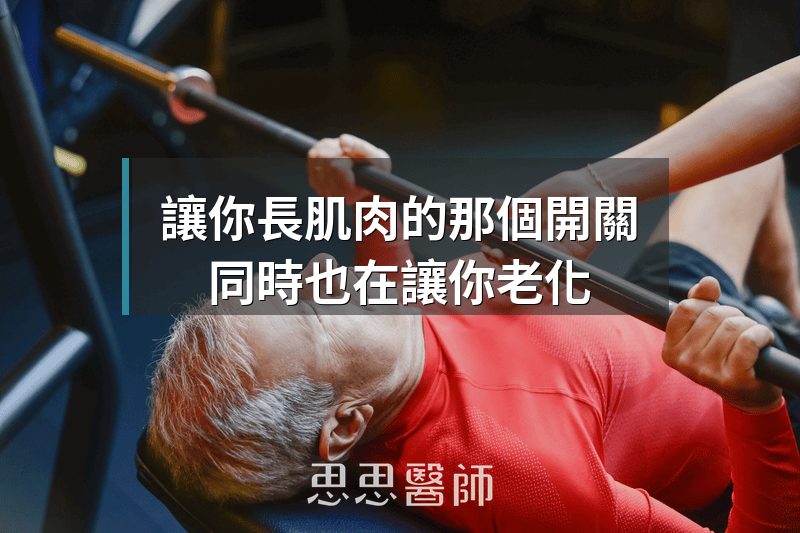讓你長肌肉的那個開關，同時也在讓你老化