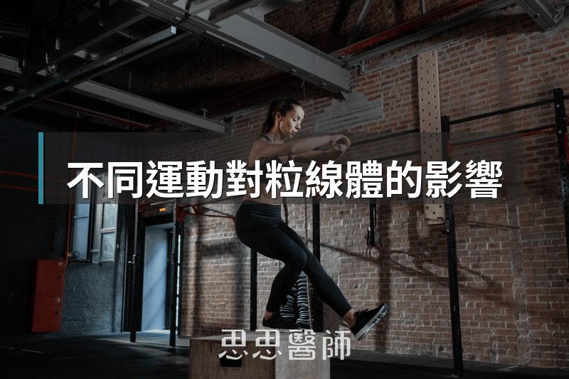 不同運動對粒線體的影響