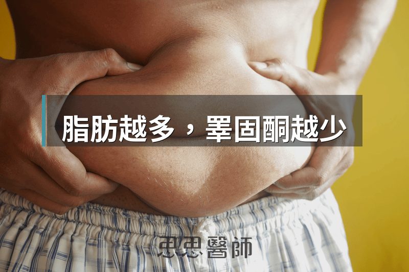脂肪越多，睪固酮越少