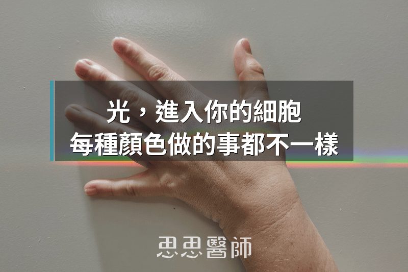 光，進入你的細胞，每種顏色做的事都不一樣