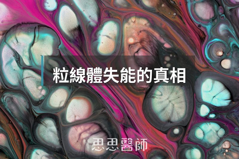 粒線體失能的真相