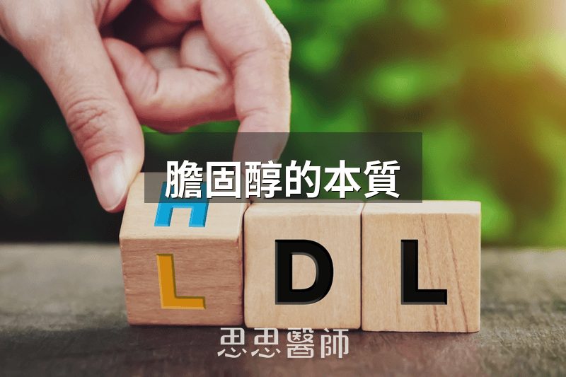 膽固醇的本質