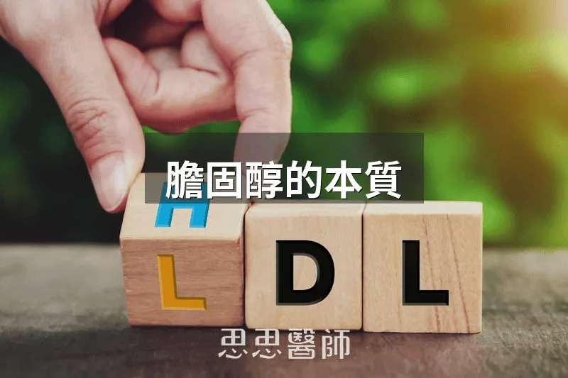 膽固醇的本質