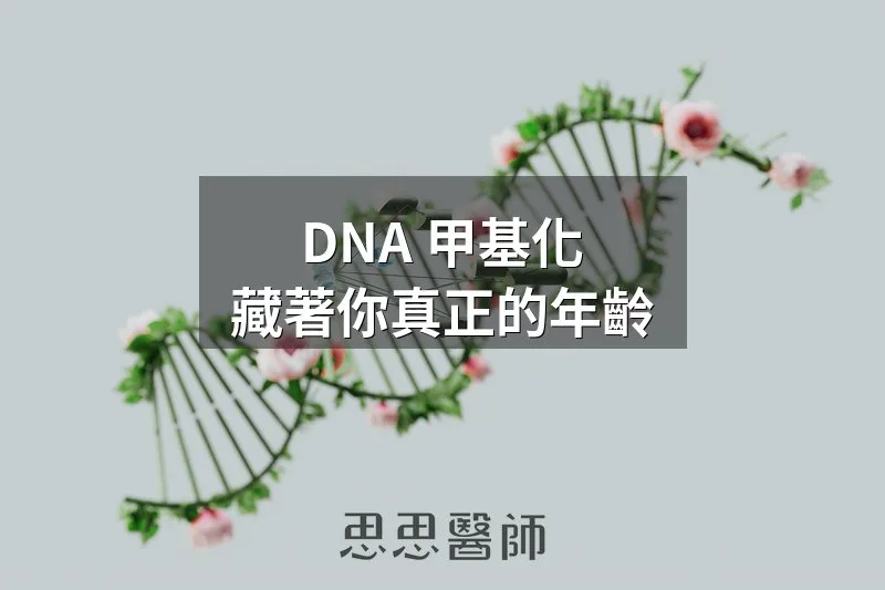 DNA 甲基化，藏著你真正的年齡
